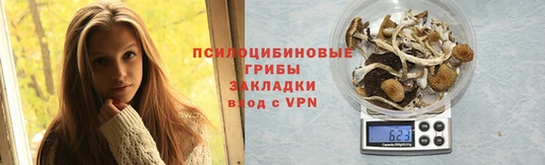МДМА Бородино