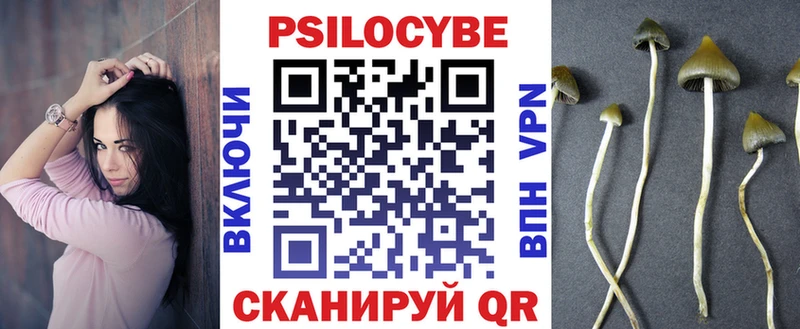 купить наркотик  Дубовка  hydra как войти  Псилоцибиновые грибы мицелий 