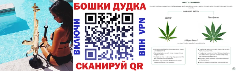 как найти наркотики  Дубовка  Конопля OG Kush 